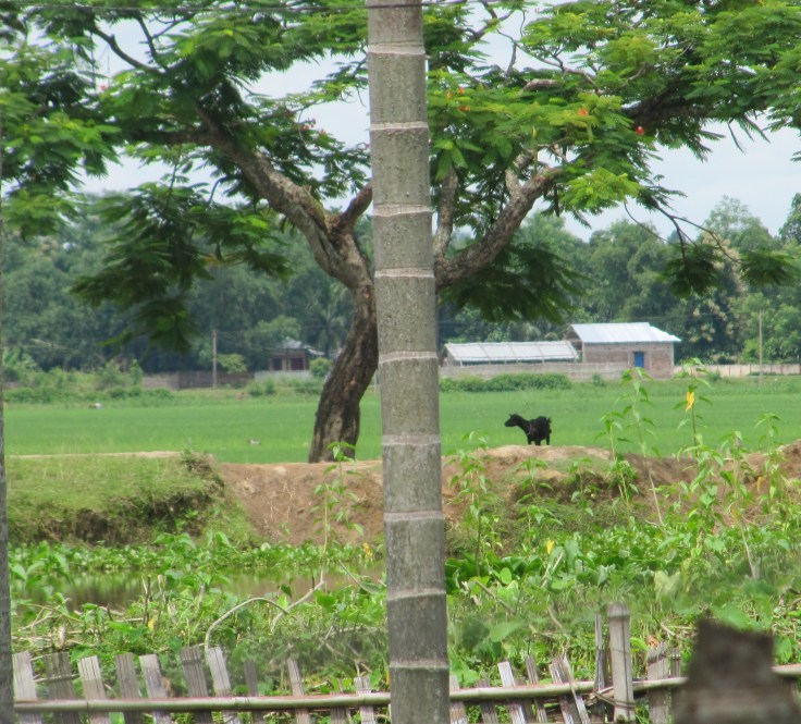 land of possibilities